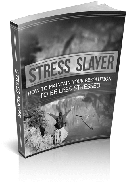 Product picture Stress Slayer 